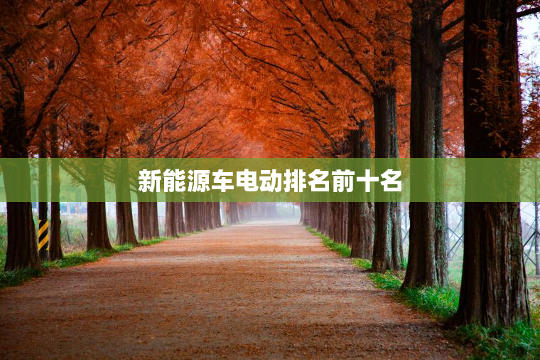 新能源车电动排名前十名