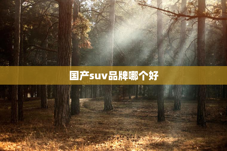 国产suv品牌哪个好 国产suv品牌哪个好
