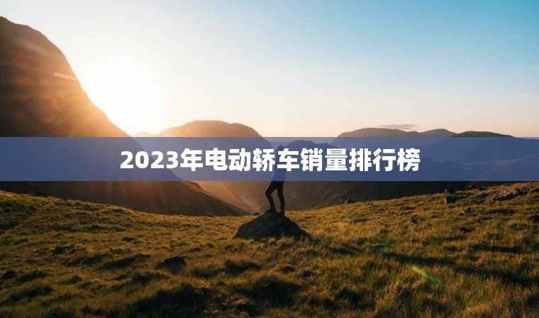 2023年电动轿车销量排行榜