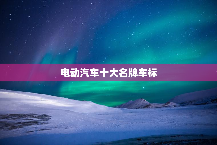 电动汽车十大名牌车标