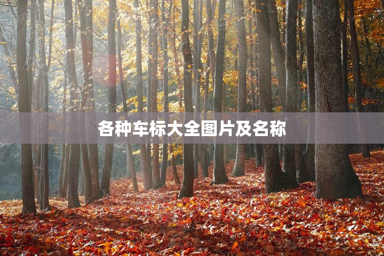各种车标大全图片及名称