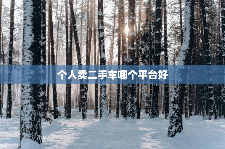 个人卖二手车哪个平台好