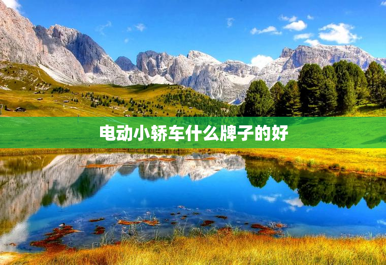 电动小轿车什么牌子的好