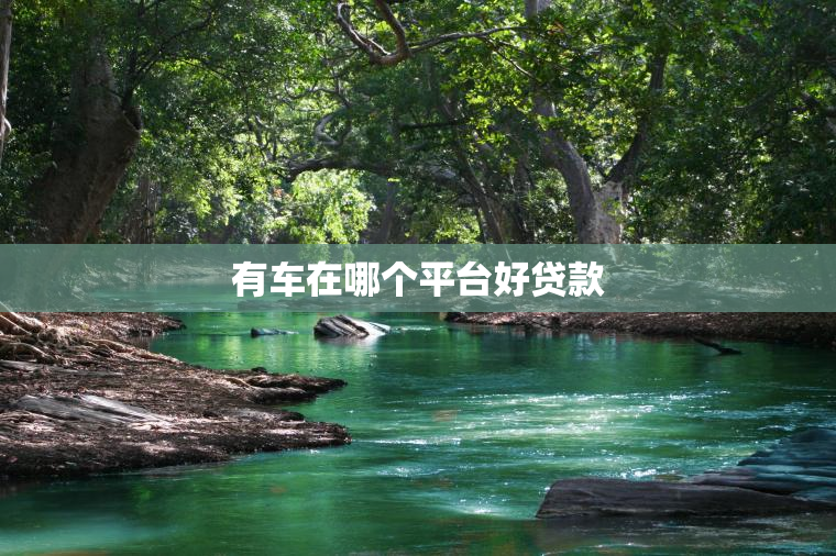 有车在哪个平台好贷款