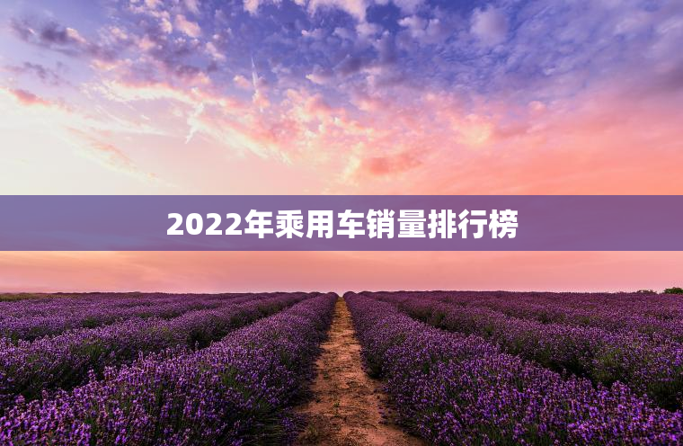2023年乘用车销量排行榜