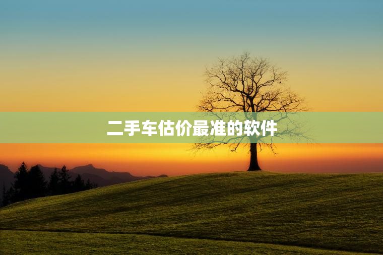 二手车估价最准的软件
