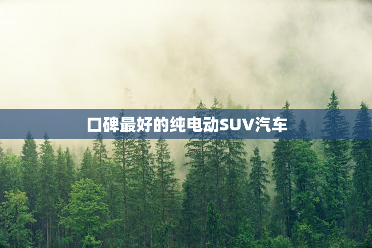 口碑最好的纯电动SUV汽车