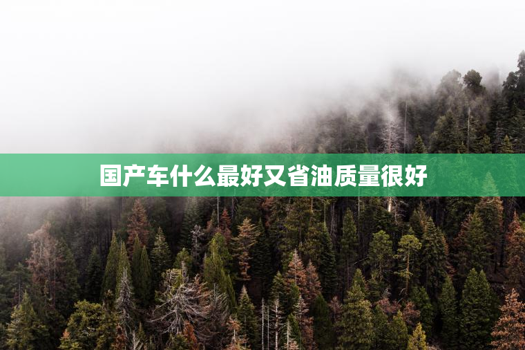国产车什么最好又省油质量很好
