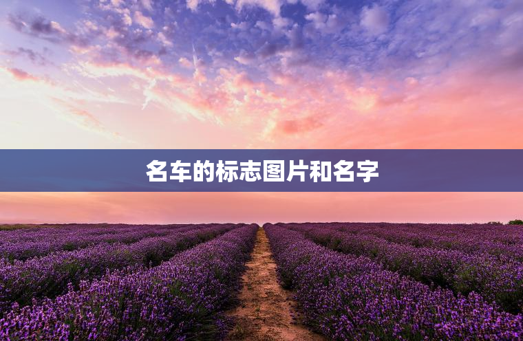 名车的标志图片和名字