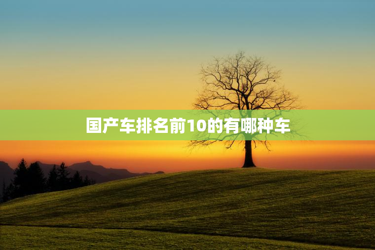 国产车排名前10的有哪种车 国产车排名前10的有哪种车