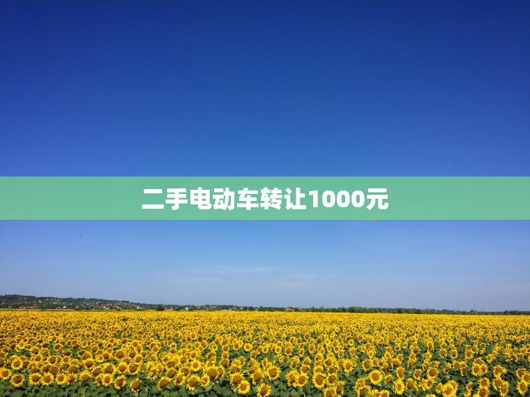 二手电动车转让1000元