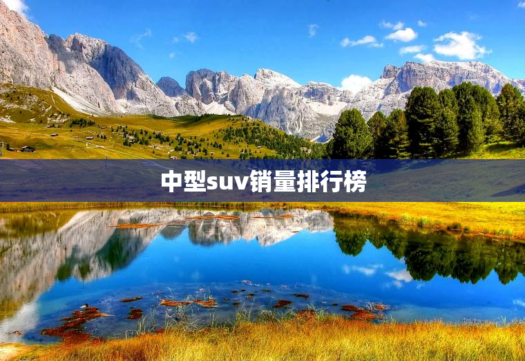 中型suv销量排行榜