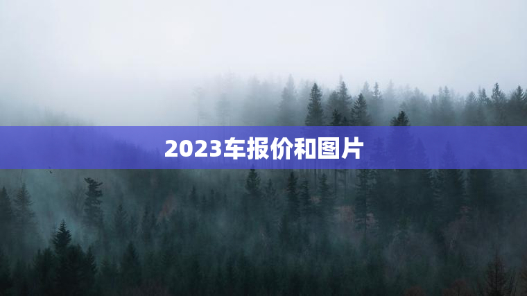2023车报价和图片
