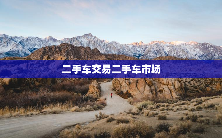 二手车交易二手车市场