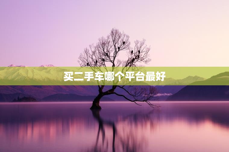 买二手车哪个平台最好