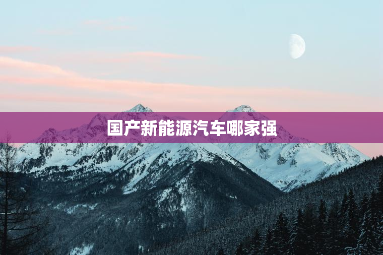 国产新能源汽车哪家强
