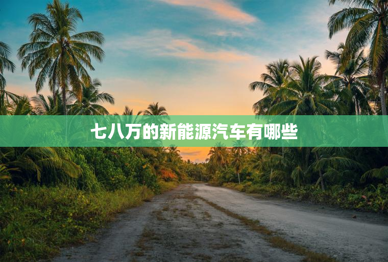 七八万的新能源汽车有哪些