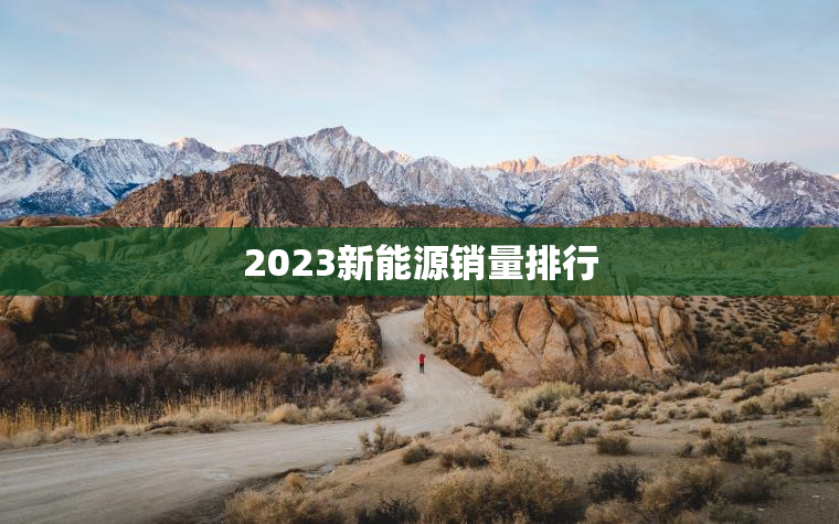2023新能源销量排行