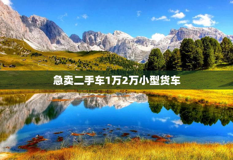 急卖二手车1万2万小型货车