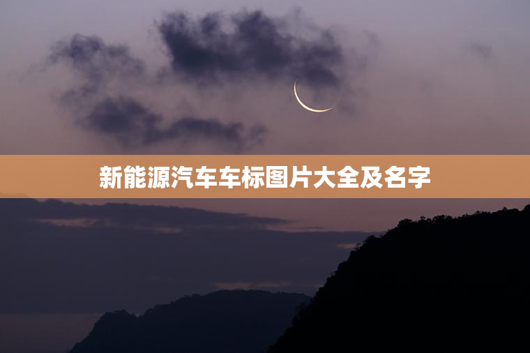 新能源汽车车标图片大全及名字