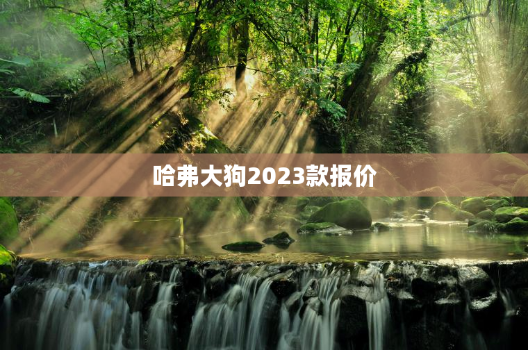 哈弗大狗2023款报价