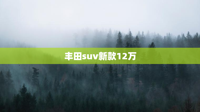 丰田suv新款12万