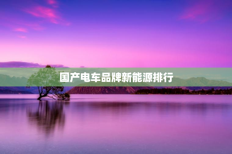 国产电车品牌新能源排行