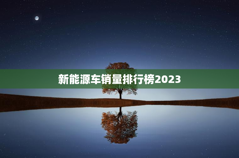 新能源车销量排行榜2023