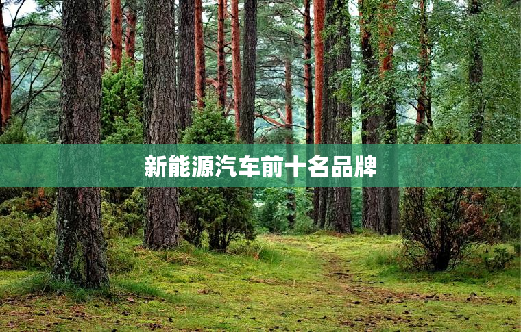 新能源汽车前十名品牌