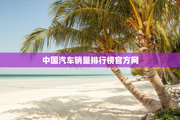 中国汽车销量排行榜官方网