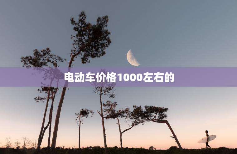 电动车价格1000左右的