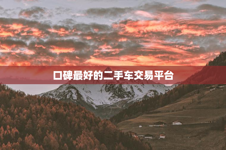 口碑最好的二手车交易平台