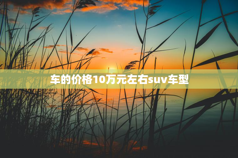 车的价格10万元左右suv车型