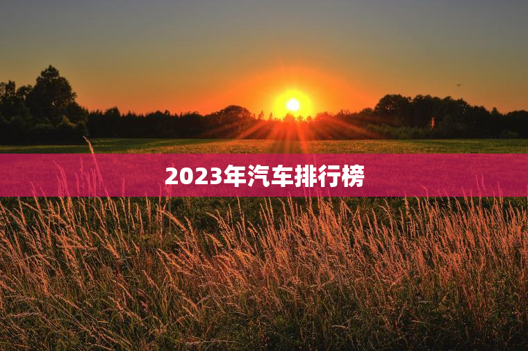 2023年汽车排行榜