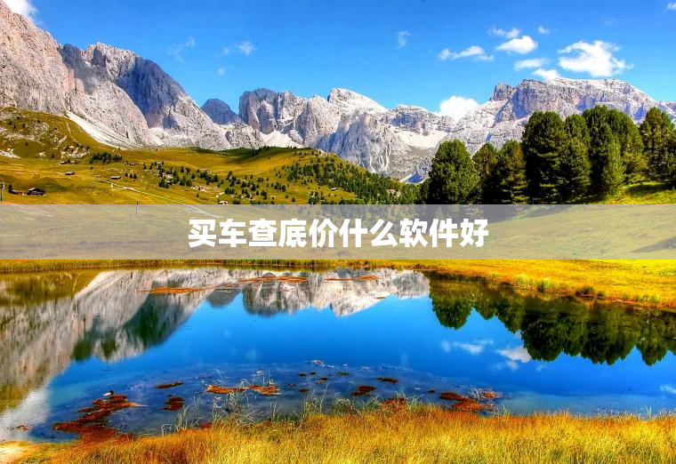 买车查底价什么软件好