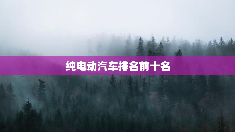 纯电动汽车排名前十名