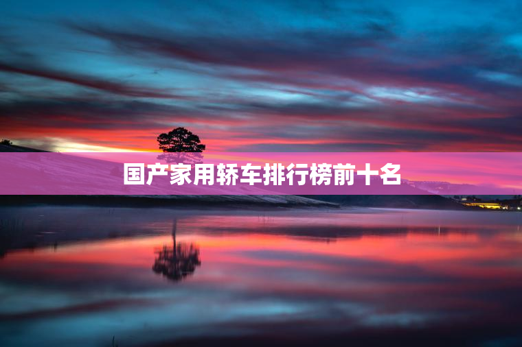 国产家用轿车排行榜前十名