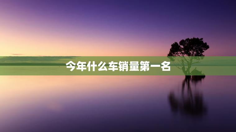 今年什么车销量第一名