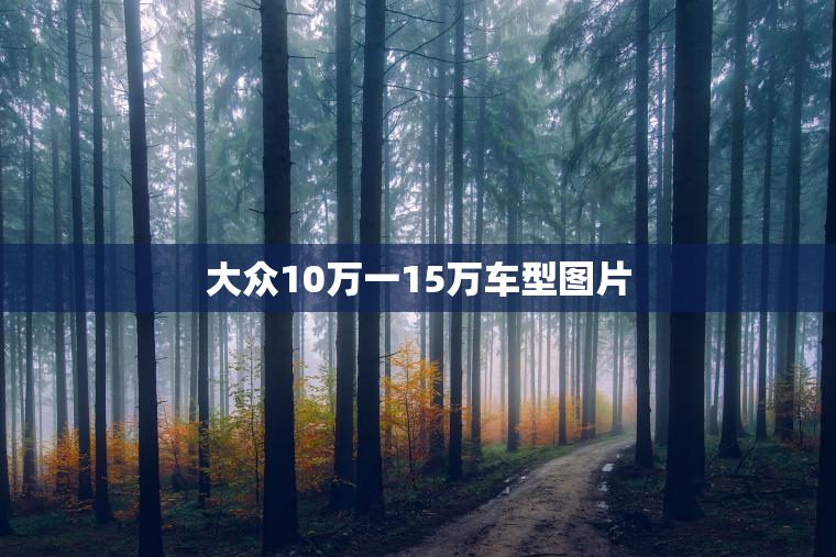 大众10万一15万车型图片