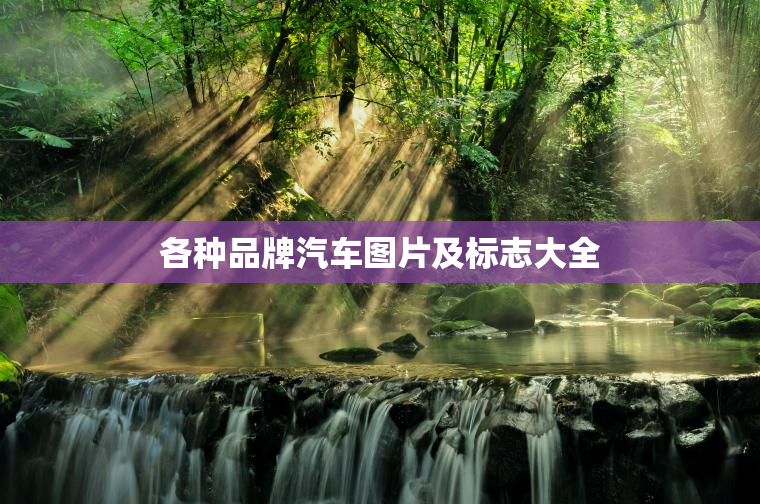 各种品牌汽车图片及标志大全