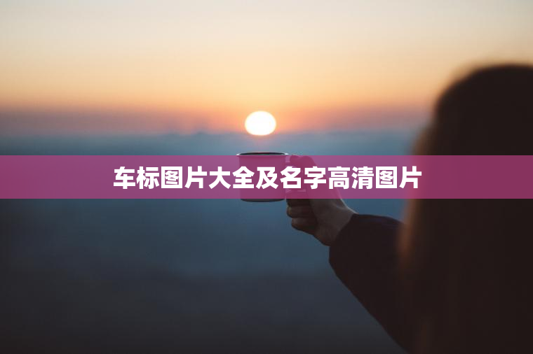 车标图片大全及名字高清图片