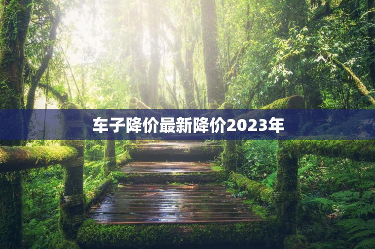 车子降价最新降价2023年