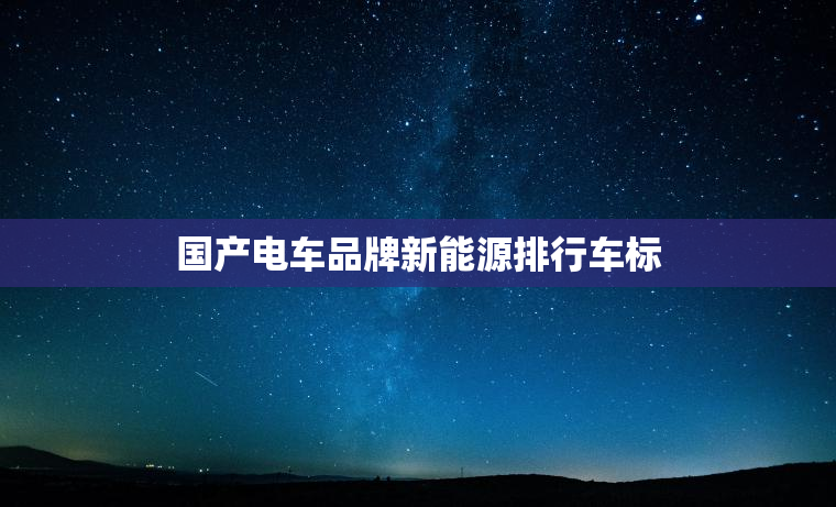 国产电车品牌新能源排行车标