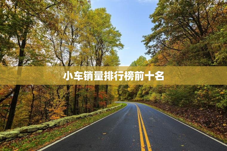 小车销量排行榜前十名