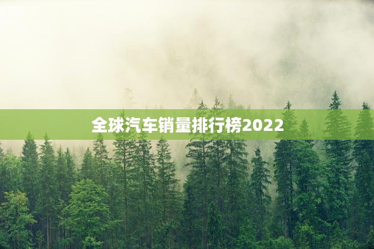 全球汽车销量排行榜2023