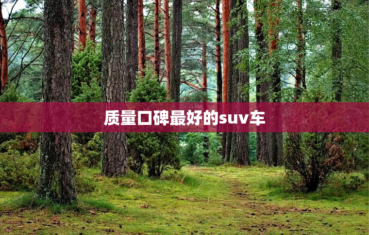 质量口碑最好的suv车 质量口碑最好的suv车