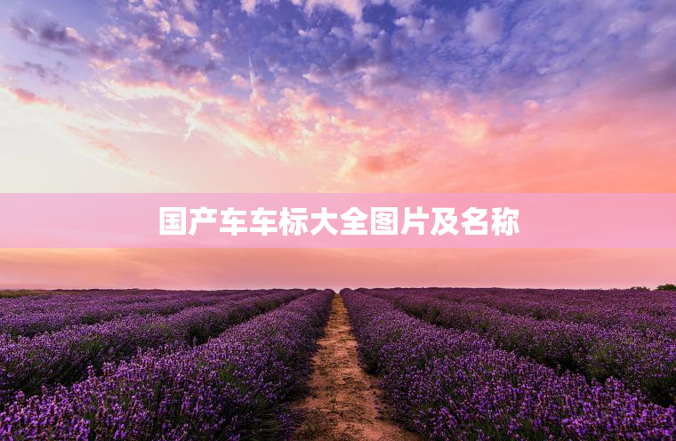 国产车车标大全图片及名称