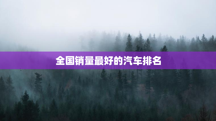 全国销量最好的汽车排名