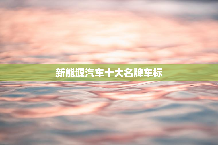 新能源汽车十大名牌车标