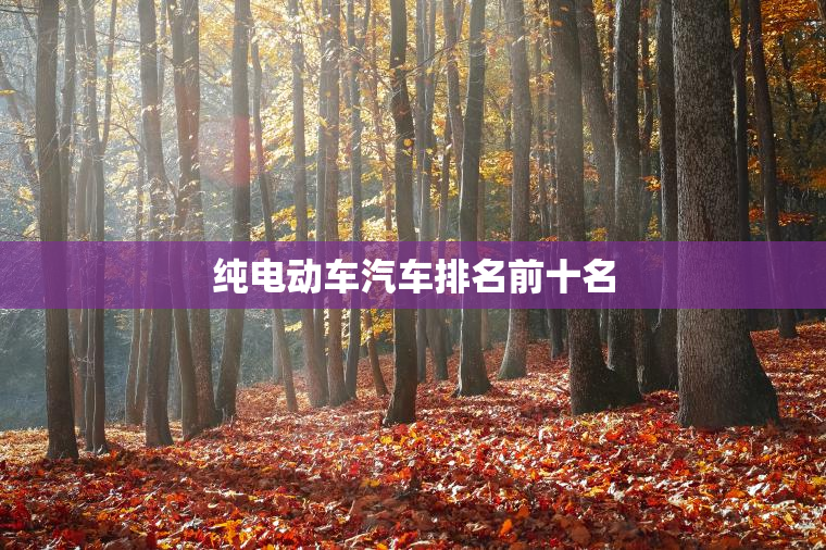 纯电动车汽车排名前十名